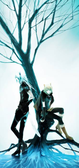 chiboard-b2t32053-20080729_Lamento_2_upby-Youffie.jpg