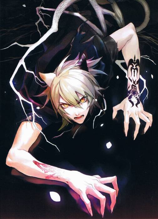 chiboard-b2t32054-20080729_Lamento_3_upby-Youffie.jpg
