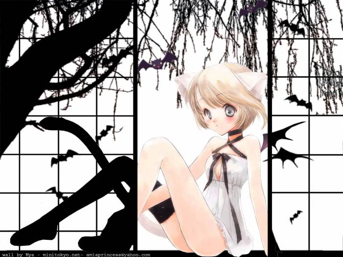 chiboard-b1t32163-20080730_jkkk_upby-Devilblood.jpg