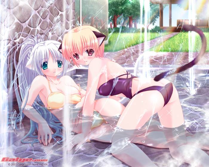 chiboard-b1t32164-20080730_Konachan_com_20-_20701_20bikini_20catgirl_20galge_com_20swimsuit_20tagme_upby-Devilblood.jpg