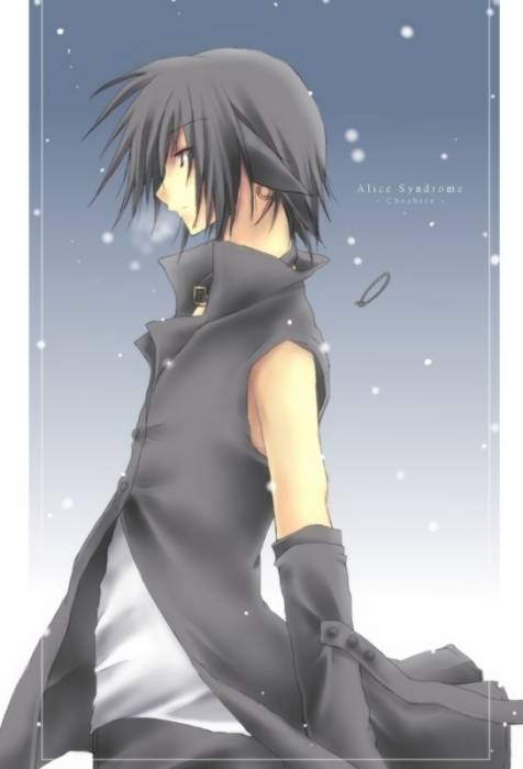 chiboard-b2t32322-20080802_AS___Cat_in_the_snow_by_hirochan_upby-Devilblood.jpg