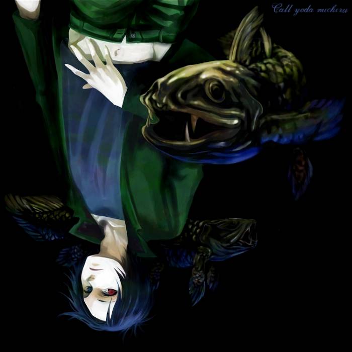 chiboard-b2t32381-20080804_re_mukuro06_upby-kallynkah.jpg