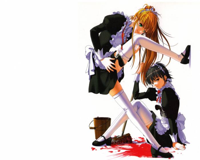 chiboard-b3t32617-20080808_Konachan_com_20-_203331_20blood_20maid_20phantom_of_inferno_20white_upby-Devilblood.jpg