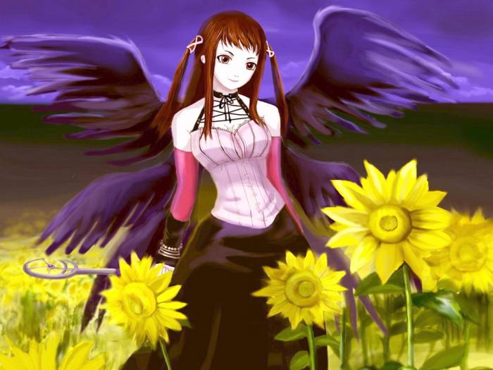 chiboard-b1t32809-20080813_01988c514b7e702487aa4d306fef4983_upby-Devilblood.jpg