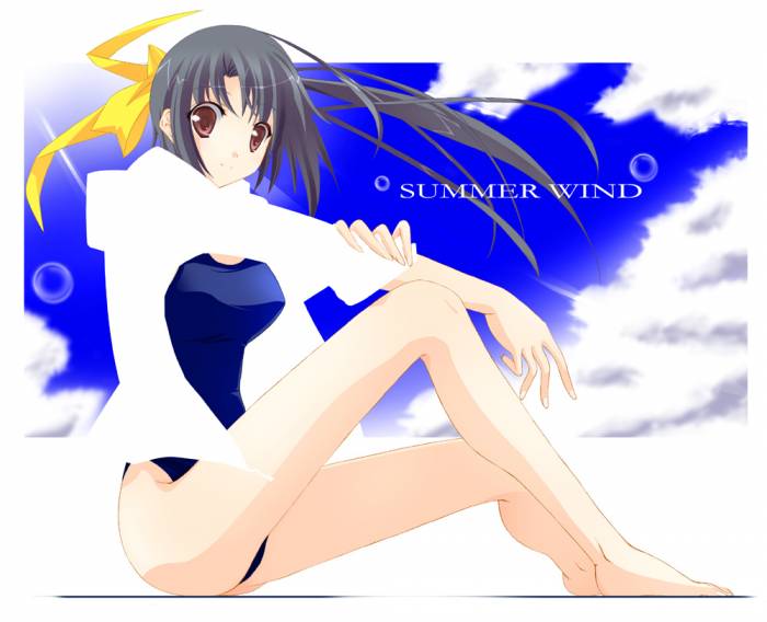 summerwind.jpg