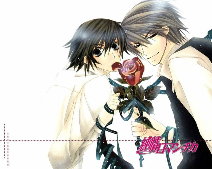 chiboard-b2t33020-20080817_JunjouRomantica09_upby-kallynkah.jpg