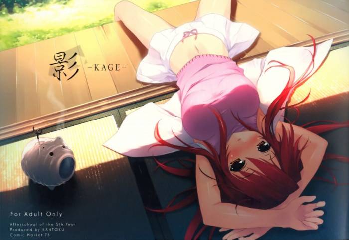 chiboard-b1t33031-20080818_kantoku_upby-Devilblood.jpg