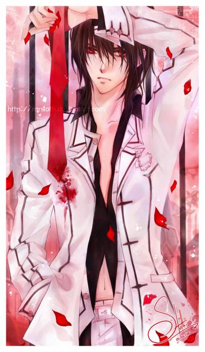 chiboard-b2t33150-20080822_Vampire_Knight___Night_004_by_mrslo_upby-Duky.jpg