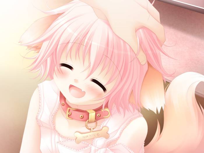 Wanko.jpg