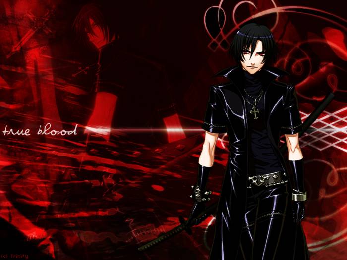 chiboard-b2t33332-20080830_shiki_wall_upby-DJchat.jpg
