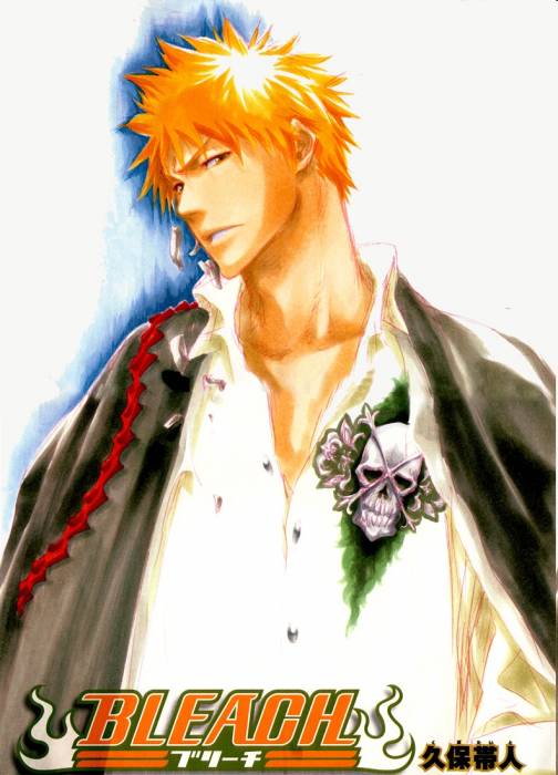 chiboard-b2t33340-20080830_Ichigo_upby-kallynkah.jpg