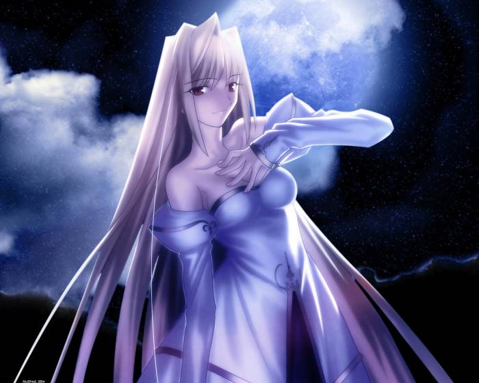 chiboard-b1t33380-20080901_shingetsutan_tsukihime_33_upby-DJchat.jpg