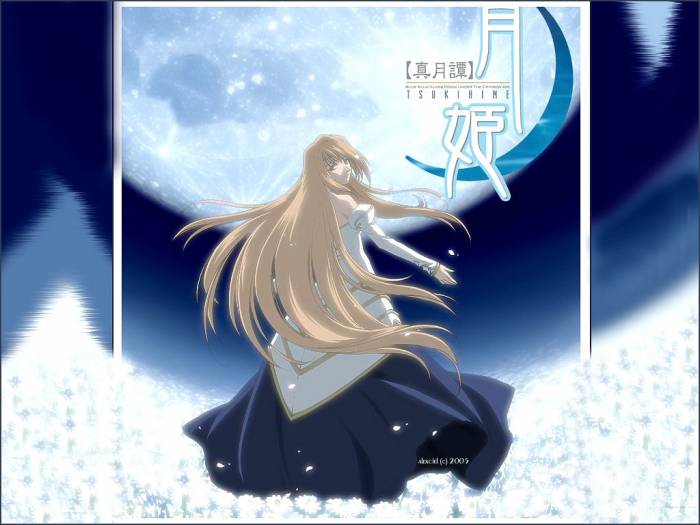chiboard-b1t33381-20080901_shingetsutan_tsukihime_114_upby-DJchat.jpg