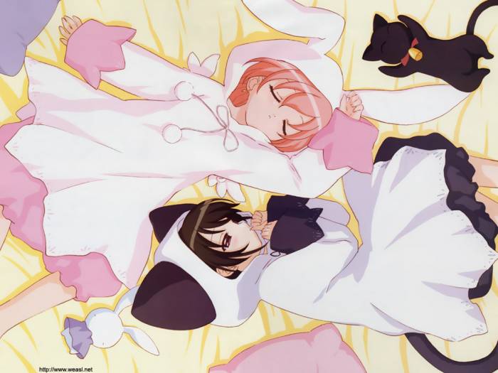 chiboard-b1t33434-20080903_Catgirl_Wallpaper_127_upby-Sha-ka.jpg