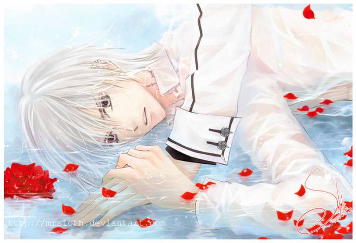 chiboard-b2t33637-20080912_Vampire_Knight___Night_006_by_mrsloth_upby-Duky.jpg