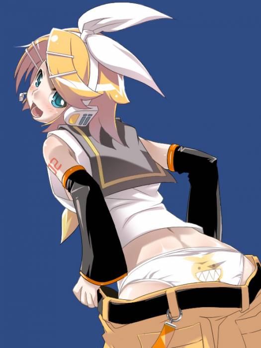 chiboard-b1t33783-20080919_Rin_1_upby-Luce.jpg