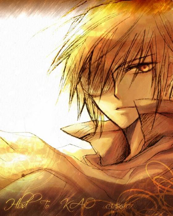 chiboard-b2t34573-20081018_Lavi20_upby-Hecate_Chaton.jpg