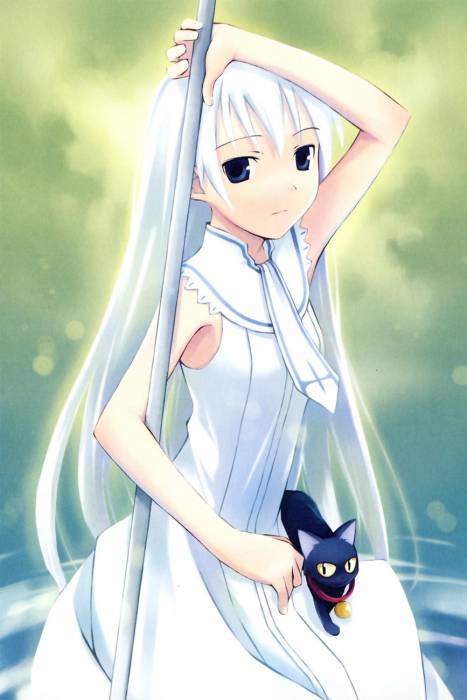 chiboard-b1t35047-20081103_Nanakusa_6_upby-Youffie.jpg