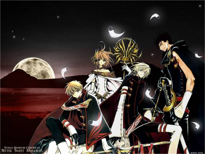 chiboard-b1t35352-20081119_1083_Tsubasa_Chronicle_202988_upby-DJchat.jpg