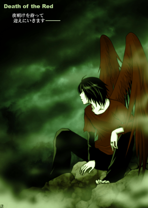 chiboard-b2t35492-20081126_BB_upby-Duky.gif