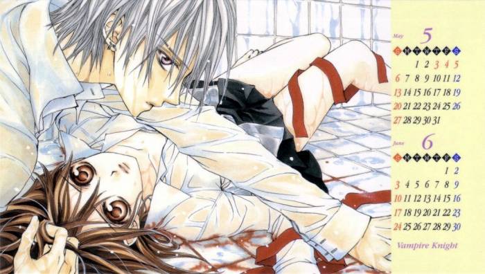 chiboard-b1t35497-20081126_vampire_knight_47_upby-Nana-chan.jpg