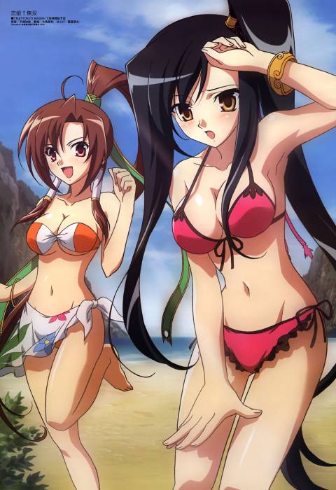 chiboard-b1t35499-20081126_Koihime_musou_01_upby-Yohime.jpg