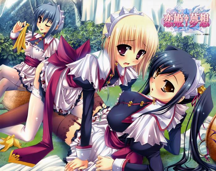 chiboard-b1t35500-20081126_Koihime_musou_02_upby-Yohime.jpg