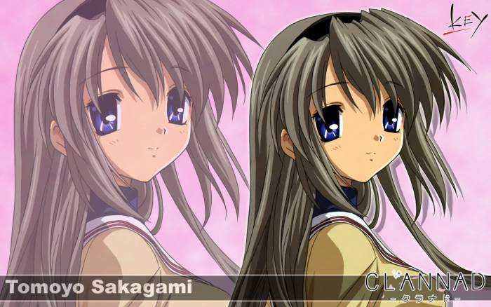 chiboard-b1t35646-20081201_clannad-58-wide800_upby-Dilbert_.jpg