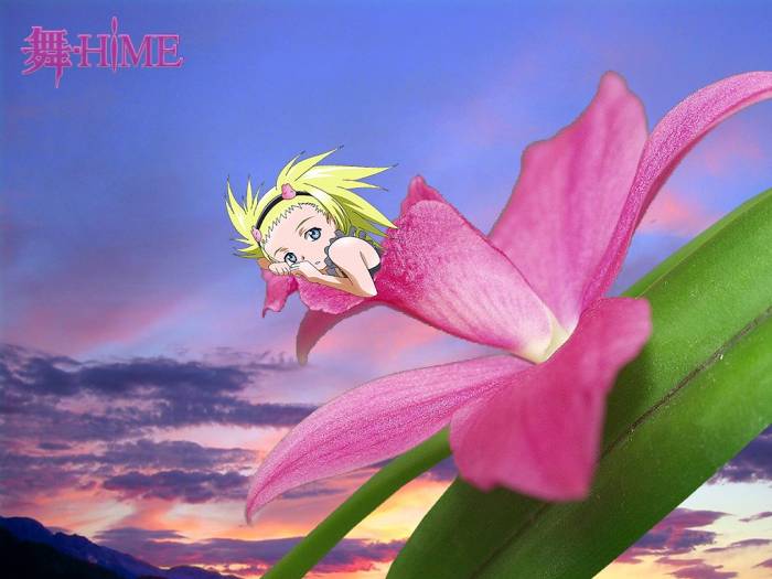 chiboard-b1t35710-20081203_mai_hime_127_upby-Nana_chan.jpg