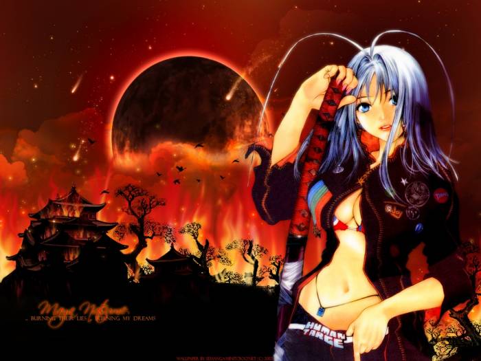 chiboard-b1t35711-20081203_tenjou_tenge_77_upby-Nana_chan.jpg
