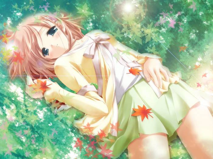 chiboard-b1t35820-20081206_Ecchi_Soft__1408__upby-Nana_chan.jpg