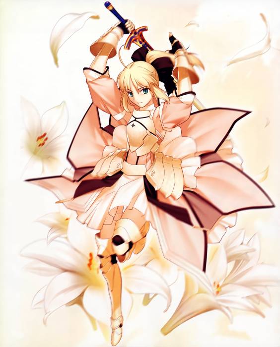 chiboard-b1t35898-20081209_moe_49138_fate_stay_night_fate_unlimited_codes_saber_saber_lily_upby-Bobl__ponge.jpg