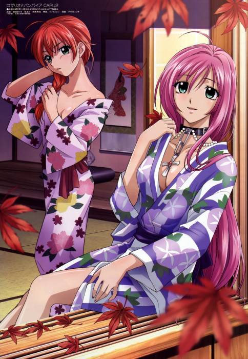 chiboard-b1t35945-20081211_sample-223aad801bbb8505dd58d067c85e8532_upby-Devilblood.jpg