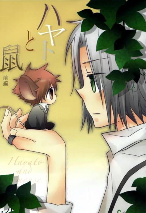 chiboard-b2t36017-20081213_gaktsuna_upby-Duky.jpg