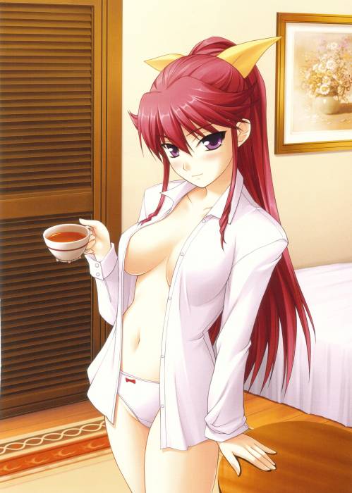 chiboard-b1t36079-20081215_kimi_ga_aruji_de_shitsuji_ga_ore_de_2_upby-Yohime.jpg