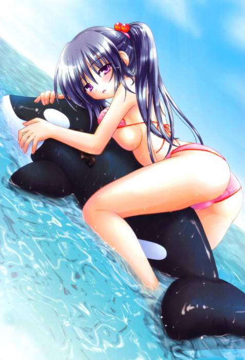 chiboard-b1t36129-20081216_divers_30_upby-Yohime.jpg