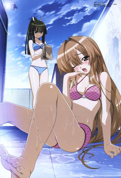 chiboard-b1t36200-20081218_Seto_no_hanayome_1_upby-Yohime.jpg