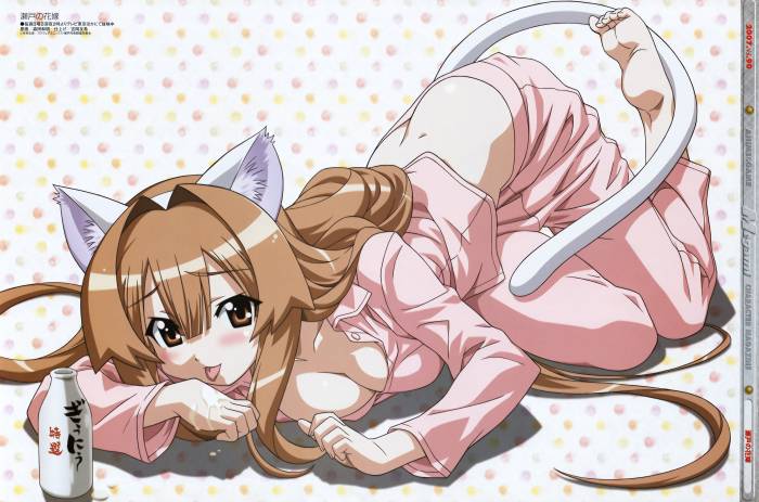 chiboard-b1t36202-20081218_Seto_no_hanayome_3_upby-Yohime.jpg
