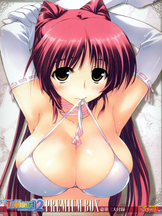chiboard-b1t36205-20081218_To-heart_2_upby-Yohime.png