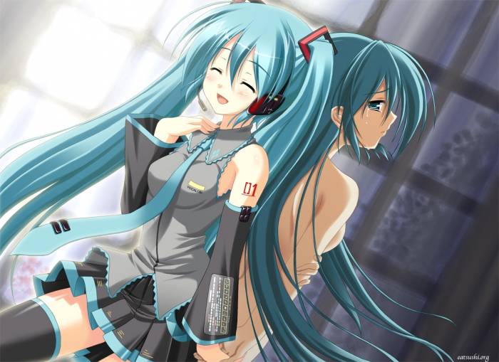 chiboard-b1t36231-20081219_Miku_1_upby-Yohime.jpg