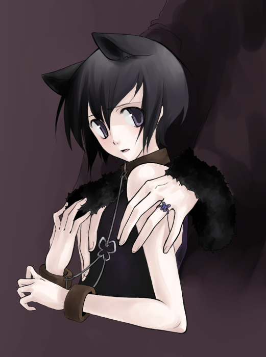 chiboard-b2t37011-20090113_58xy_upby-Duky.png