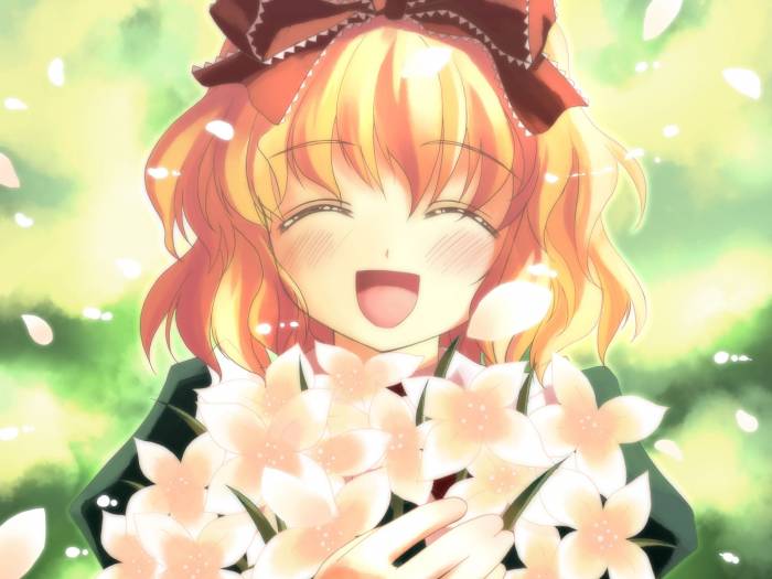 chiboard-b1t37126-20090117_Touhou_007_upby-Nana_chan.jpg