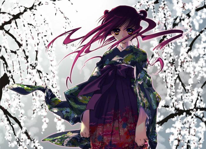 Kimono27.jpg