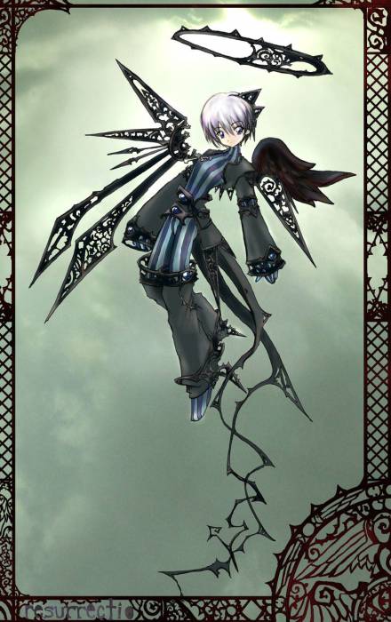card.jpg