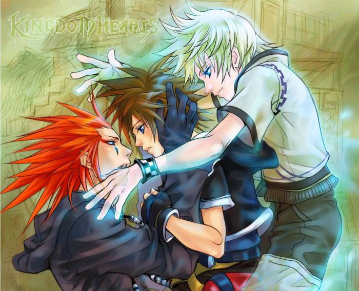 KH2_a_flower_seems_not_to_be_by_egosun.jpg