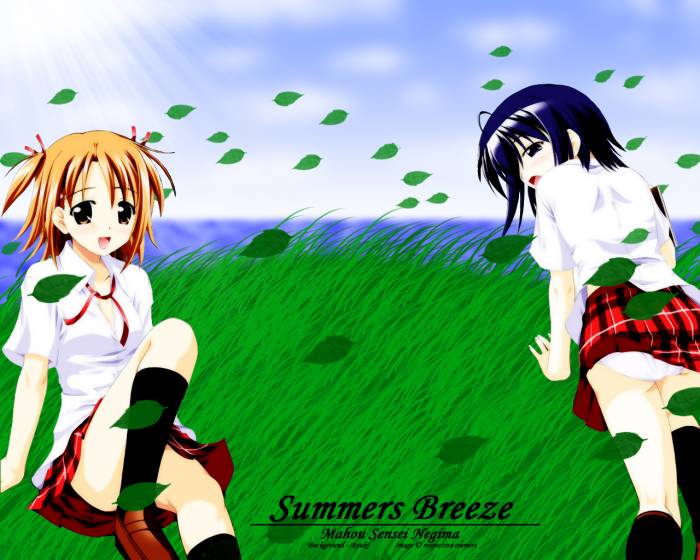 Minitokyo.Anime.Wallpapers.Mahou.Sensei.Negima_150198_.jpg