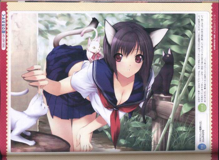 meow.jpg