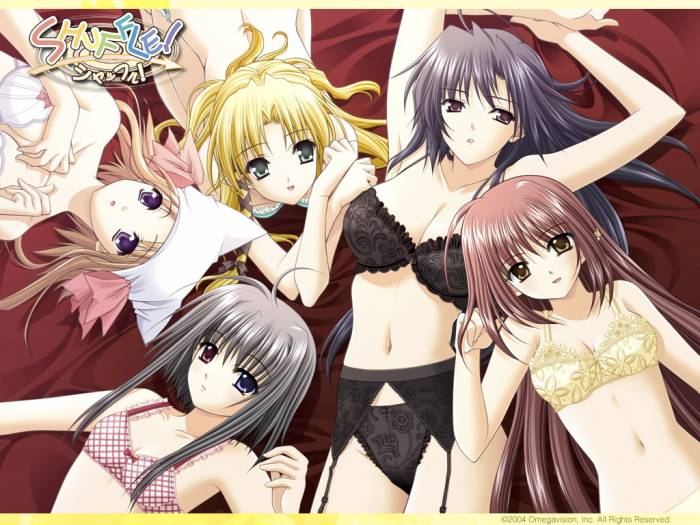 shuffle17.jpg