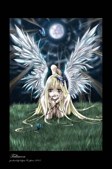 manga_20ange.jpg