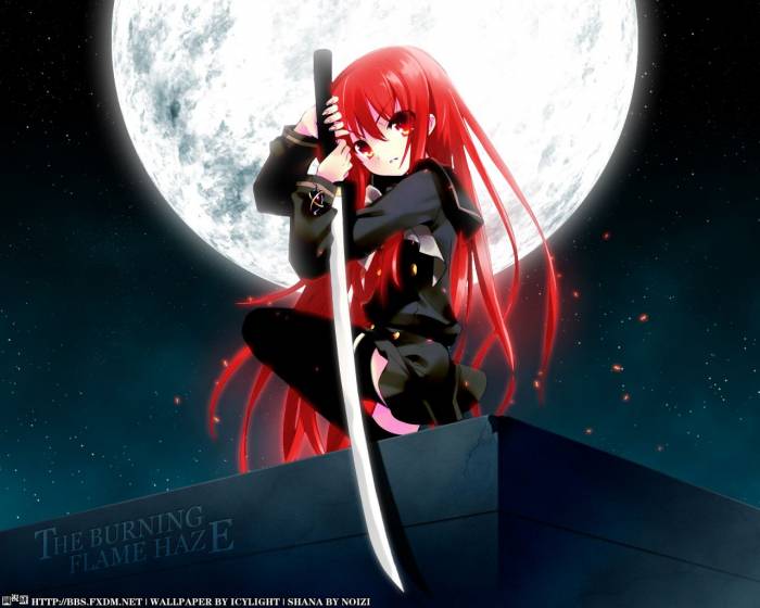 shana2vj2.jpg